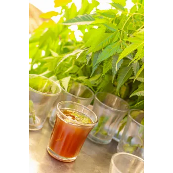 Organic Dry Mint Leaves